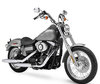 LEDs und HID-Xenon-Kits für Harley-Davidson Street Bob 1450