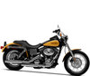 LEDs und HID-Xenon-Kits für Harley-Davidson Low Rider 1450