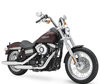 LEDs und HID-Xenon-Kits für Harley-Davidson Street Bob 1584