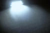 LED-Lampe 37 mm C10W Ohne Fehler Odb - Antifehler odb Weiß