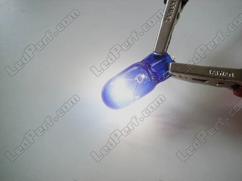 Lampe W16W - Kappe T15 Halogen Blue Vision Xenon Effekt Led