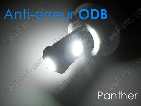 LED-Lampe T10 Panther W5W Ohne Fehler Odb - Antifehler odb - 6000K Weiß