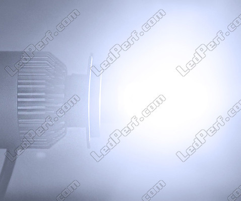 Lampe LED COB HB3 Motorrad