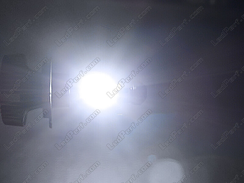 Birnen / Leuchtmittel für Mercedes W210 günstig bestellen