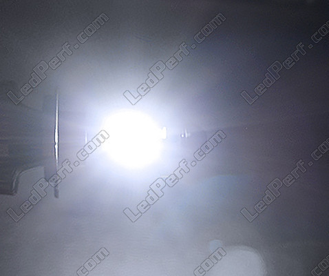 Led LED-Scheinwerfer Aprilia Leonardo 250 Tuning
