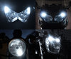 Led Standlichter Weiß Xenon Can-Am Traxter HD8 Tuning
