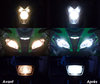 Led LED Abblendlicht und Fernlicht Harley-Davidson V-Rod Muscle  1250