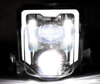 LED-Scheinwerfer für Husqvarna FE 501 / 501s (2020 - 2023)