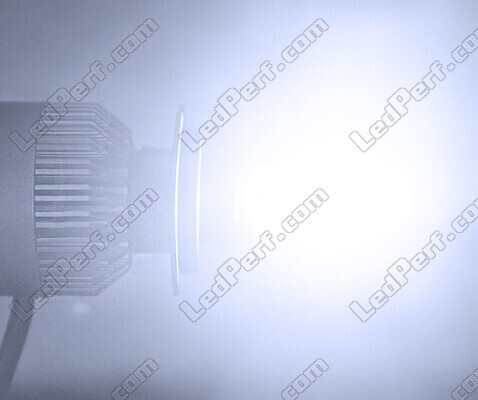Kit LED COB All in One Husqvarna TE 150 / 150i (2020 - 2023)