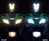 Led LED Abblendlicht und Fernlicht Indian Motorcycle Chief Dark Horse 1811 (2015 - 2020)
