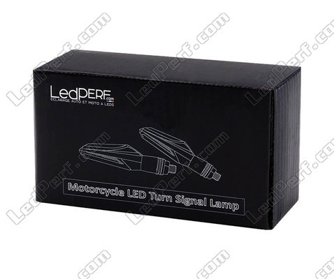 Pack Sequentielle LED-Blinker für Peugeot XP6 50