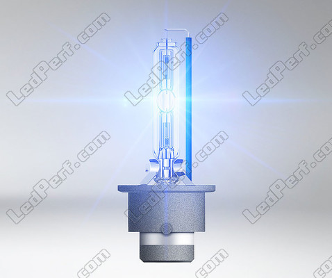 D4S Xenon Glühbirne Beleuchtung Osram Xenarc Cool Blue Intense NEXT GEN 6200K - 66440CBN LED Extra White LOOK