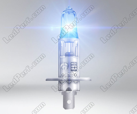H1-Halogenlampe Osram Cool Blue Intense NEXT GEN mit LED-Effektbeleuchtung