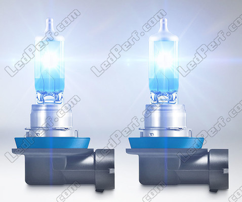 H11-Halogenlampen Osram Cool Blue Intense NEXT GEN mit LED-Effektbeleuchtung