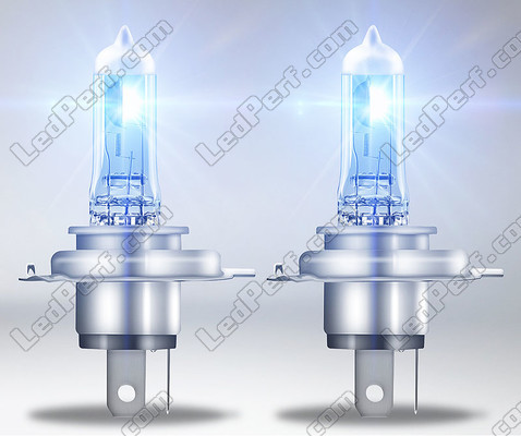 H4-Halogenlampen Osram Cool Blue Intense NEXT GEN mit LED-Effektbeleuchtung