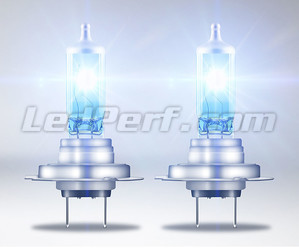 H7-Halogenlampen Osram Cool Blue Intense NEXT GEN mit LED-Effektbeleuchtung
