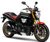 Motorrad Yamaha MT-01 (2005 - 2013)