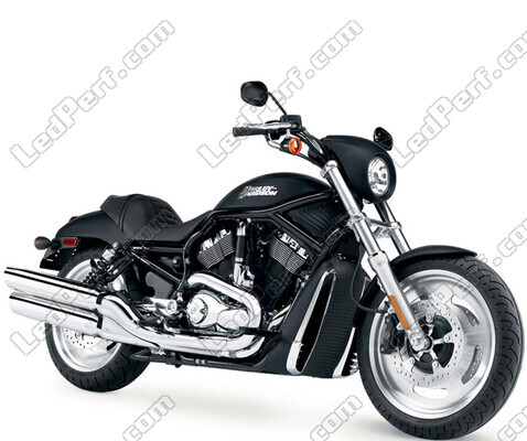 Motorrad Harley-Davidson Night Rod 1130 (2005 - 2007)