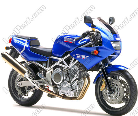 Motorrad Yamaha TRX 850 (1996 - 2000)