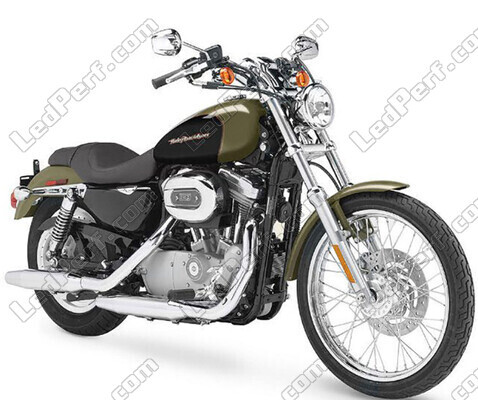 Motorrad Harley-Davidson Custom 883 (1999 - 2009)