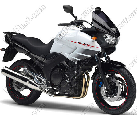 Motorrad Yamaha TDM 900 (2002 - 2014)