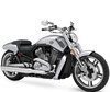 Motorrad Harley-Davidson V-Rod Muscle 1250 (2009 - 2016)