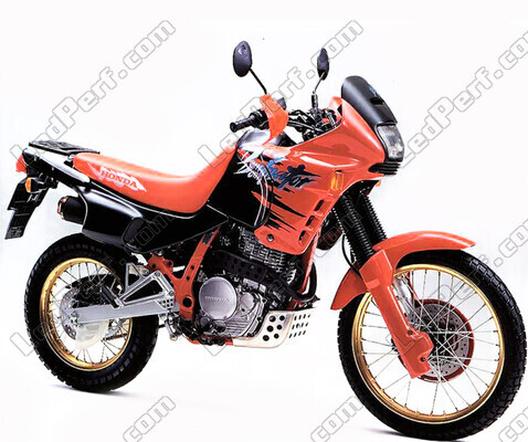 Motorrad Honda NX 650 Dominator (1993 - 2002)