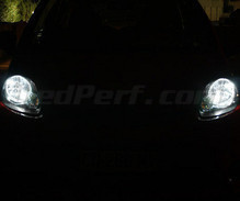 Standlicht-Pack Xenon-Effekt-Weiß für Peugeot 107