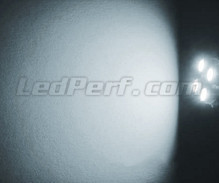 Standlicht-Pack Xenon-Effekt-Weiß für Nissan 200sx s14