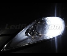 Standlicht-Pack Xenon-Effekt-Weiß für Ford Mondeo MK4
