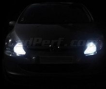 Standlicht-Pack Xenon-Effekt-Weiß für Peugeot 307