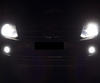 Scheinwerferlampen-Pack mit Xenon-Effekt für Volkswagen Amarok