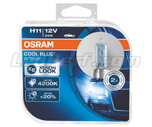Packung mit 2 H11 Lampen Osram Cool Blue Intense - 64211CBI-HCB