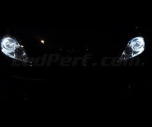 Standlicht-Pack Xenon-Effekt-Weiß für Peugeot 206+