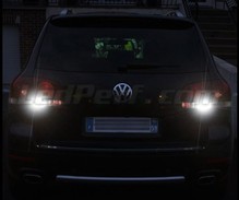 LED-Pack (reines Weiß 6000K) für Rückfahrleuchten des Volkswagen Touareg 7L