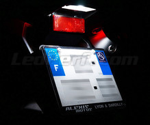 LED-Kennzeichenbeleuchtungs-Pack (Xenon-Weiß) für Moto-Guzzi Breva 1100 / 1200
