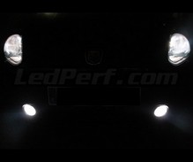 Scheinwerferlampen-Pack mit Xenon-Effekt für Fiat Grande Punto / Punto Evo