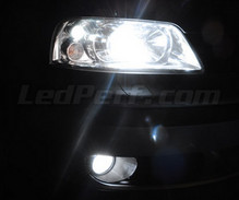 Scheinwerferlampen-Pack mit Xenon-Effekt für Volkswagen Sharan 7M