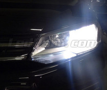 Scheinwerferlampen-Pack mit Xenon-Effekt für Volkswagen Touareg 7P