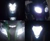 Scheinwerferlampen-Pack mit Xenon-Effekt für Aprilia Rally 50 Air