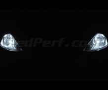 Standlicht-Pack Xenon-Effekt-Weiß für Ford Focus MK1