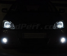 Scheinwerferlampen-Pack mit Xenon-Effekt für Toyota Corolla E120