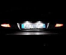LED-Pack (reines 6000K) für Heck-Kennzeichen des Mercedes S-Klasse (W221)