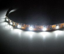 Band, flexibel, Standard mit einer Länge von ( 60 LEDs SMD ) Weiß