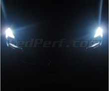 LED-Pack Standlicht- und Tagfahrlicht (Xenon-Weiß) für Opel Corsa E