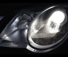 Standlicht-Pack Xenon-Effekt-Weiß für Volkswagen EOS 1F
