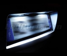 LED-Kennzeichenbeleuchtungs-Pack (Xenon-Weiß) für Renault Scenic 2