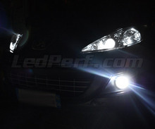 Scheinwerferlampen-Pack mit Xenon-Effekt für Peugeot 207