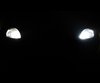 Standlicht-Pack Xenon-Effekt-Weiß für Renault Twingo 1