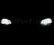 Standlicht-Pack Xenon-Effekt-Weiß für Renault Megane 1 phase 2